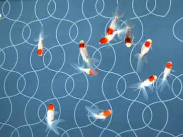 すみだ水族館に投稿された画像（2020/8/15）