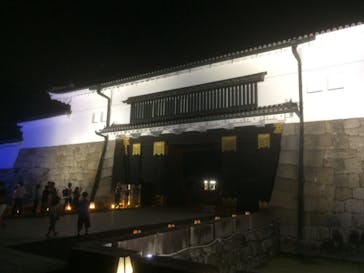 二条城×ネイキッド 二条城夏まつり2021に投稿された画像（2020/8/15）