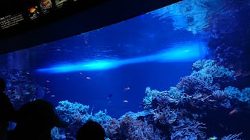 サンシャイン水族館に投稿された画像（2020/8/15）