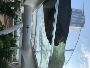 サンシャイン水族館に投稿された画像（2020/8/15）