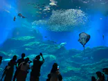 仙台うみの杜水族館に投稿された画像（2020/8/15）
