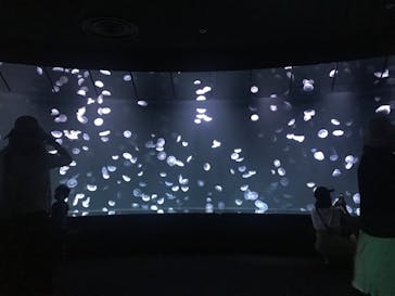 サンシャイン水族館に投稿された画像（2020/8/15）