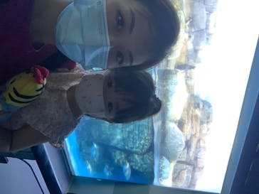 横浜・八景島シーパラダイスに投稿された画像（2020/8/15）