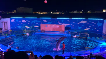 仙台うみの杜水族館に投稿された画像（2020/8/15）