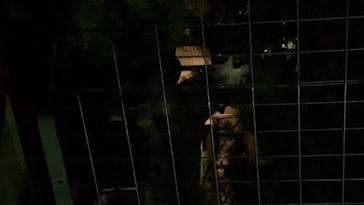 旭川市旭山動物園に投稿された画像（2020/8/15）