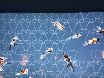 すみだ水族館に投稿された画像（2020/8/15）