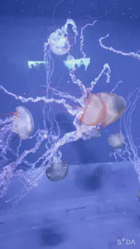 すみだ水族館に投稿された画像（2020/8/15）