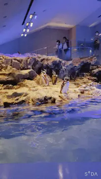 すみだ水族館に投稿された画像（2020/8/15）