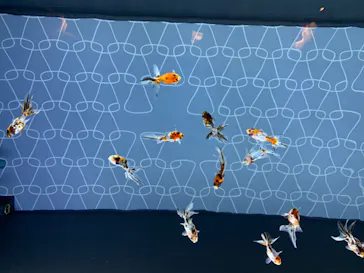 すみだ水族館に投稿された画像（2020/8/15）