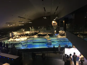 すみだ水族館に投稿された画像（2020/8/15）