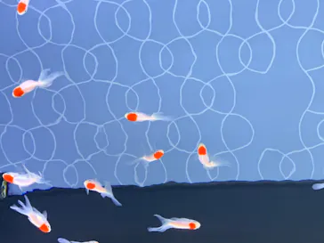 すみだ水族館に投稿された画像（2020/8/16）