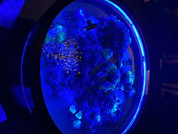 仙台うみの杜水族館に投稿された画像（2020/8/16）