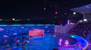 仙台うみの杜水族館に投稿された画像（2020/8/16）