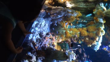 サンシャイン水族館に投稿された画像（2020/8/16）