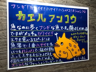ゼロ距離水族館 伊勢シーパラダイスに投稿された画像（2020/8/16）