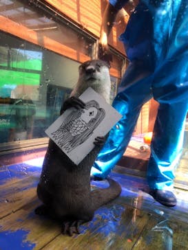 ゼロ距離水族館 伊勢シーパラダイスに投稿された画像（2020/8/16）