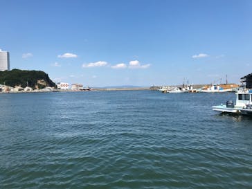 船釣り船上バーベキュー崎っぽ料理松新に投稿された画像（2020/8/16）