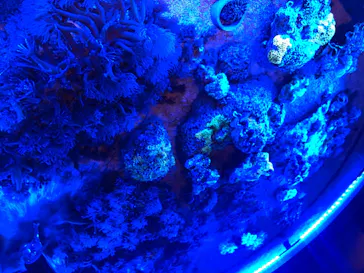 仙台うみの杜水族館に投稿された画像（2020/8/16）