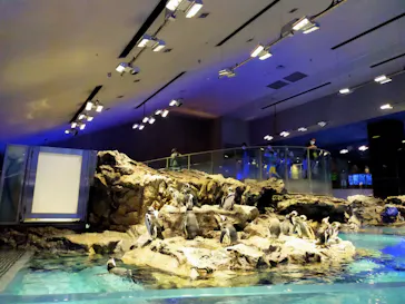 すみだ水族館に投稿された画像（2020/8/16）