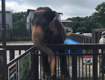 那須サファリパークに投稿された画像（2020/8/16）