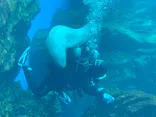 仙台うみの杜水族館に投稿された画像（2020/8/16）