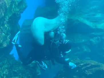 仙台うみの杜水族館に投稿された画像（2020/8/16）