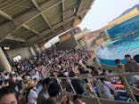 新江ノ島水族館に投稿された画像（2020/8/16）