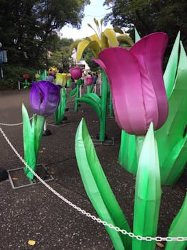 としまえんに投稿された画像（2020/8/16）