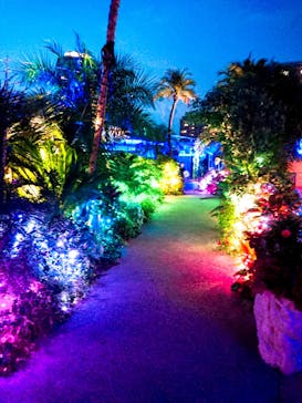 サンシャイン水族館に投稿された画像（2020/8/16）