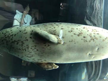 旭川市旭山動物園に投稿された画像（2020/8/16）