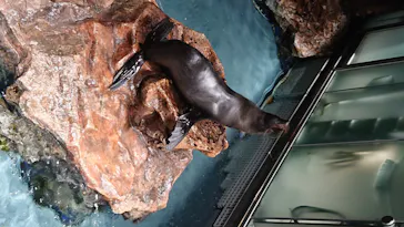 すみだ水族館に投稿された画像（2020/8/16）