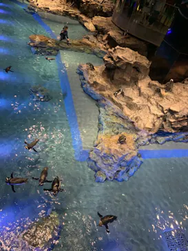 すみだ水族館に投稿された画像（2020/8/16）