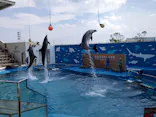 仙台うみの杜水族館に投稿された画像（2020/8/16）