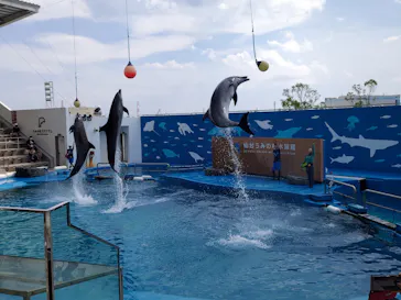 仙台うみの杜水族館に投稿された画像（2020/8/16）