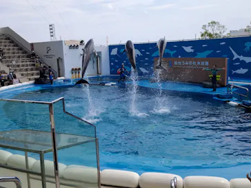 仙台うみの杜水族館に投稿された画像（2020/8/16）