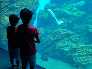 仙台うみの杜水族館に投稿された画像（2020/8/16）