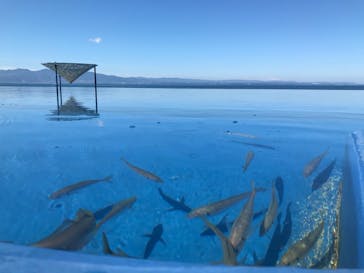 大分マリーンパレス水族館 「うみたまご」に投稿された画像（2020/8/16）