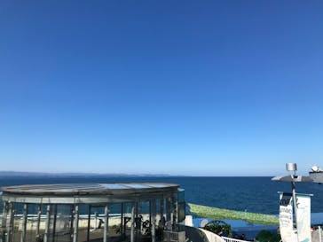 大分マリーンパレス水族館 「うみたまご」に投稿された画像（2020/8/16）