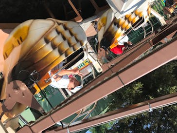 としまえんに投稿された画像（2020/8/16）