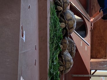 株式会社Gに投稿された画像（2020/8/16）