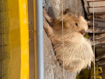 株式会社Gに投稿された画像（2020/8/16）