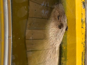 株式会社Gに投稿された画像（2020/8/16）