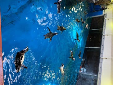 株式会社Gに投稿された画像（2020/8/16）