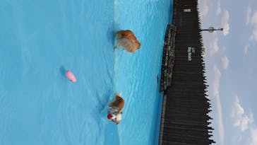 わんダフルネイチャーヴィレッジに投稿された画像（2020/8/16）