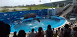 仙台うみの杜水族館に投稿された画像（2020/8/16）