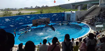 仙台うみの杜水族館に投稿された画像（2020/8/16）