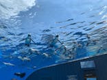 サンシャイン水族館に投稿された画像（2020/8/16）