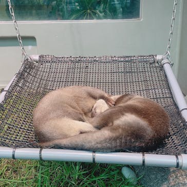 サンシャイン水族館に投稿された画像（2020/8/16）