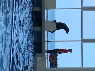 アクアワールド茨城県大洗水族館に投稿された画像（2020/8/16）