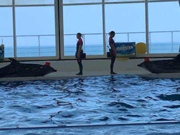 アクアワールド茨城県大洗水族館に投稿された画像（2020/8/16）